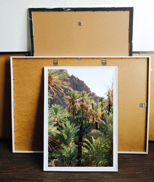 Print Oasis - BELDY
